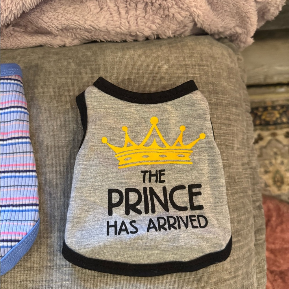 Gray Dog Shirt with Yellow Crown Print
